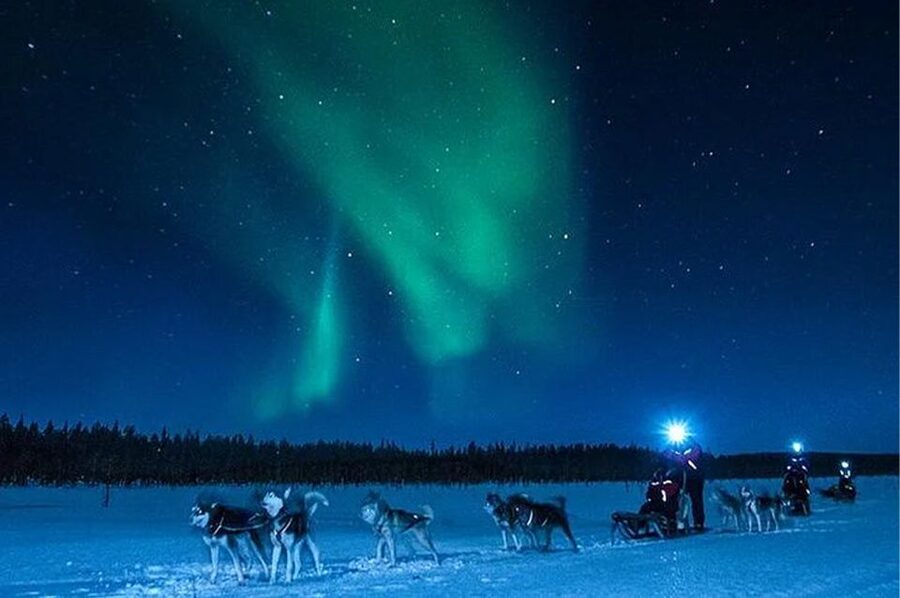Rovaniemi: Northern Lights and Husky Sleigh Ride - Value for Money: Is $269 Worth It?