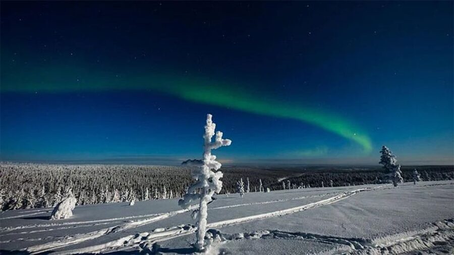 Rovaniemi: Northern Lights and Husky Sleigh Ride - Should You Book This Rovaniemi Northern Lights and Husky Ride?