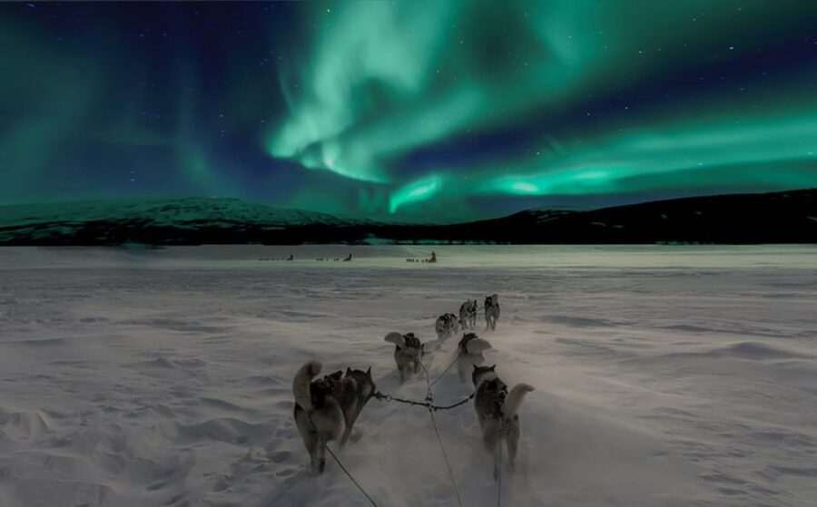 Rovaniemi: Northern Lights and Husky Sleigh Ride - The Husky Sleigh Ride: Short, Scenic, and Actually Fun