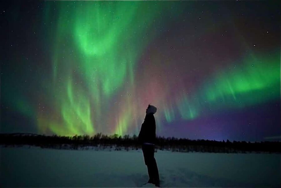 Rovaniemi: Northern Lights Aurora Guarantee Tour - The Ride: Heated Vehicle, Small Group, and Long Drives Up to 250 km