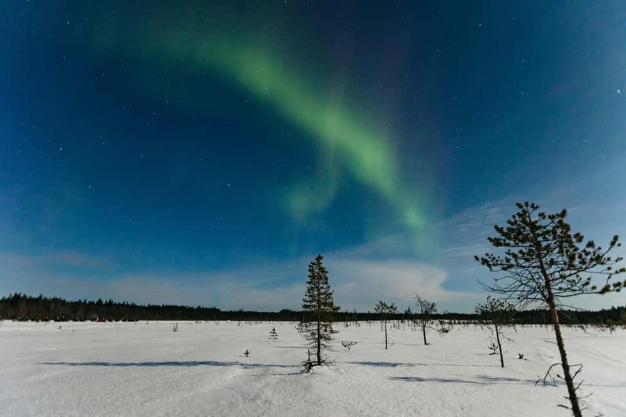 Rovaniemi: Northern Lights Family-Friendly Snowmobile Safari - Rovaniemi Northern Lights Safari: What You’re Signing Up For