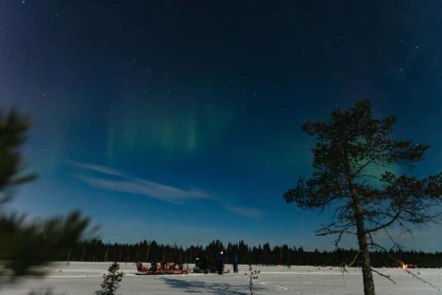 Rovaniemi: Northern Lights Family-Friendly Snowmobile Safari - Northern Lights Odds: How to Manage Expectations Without Killing the Magic