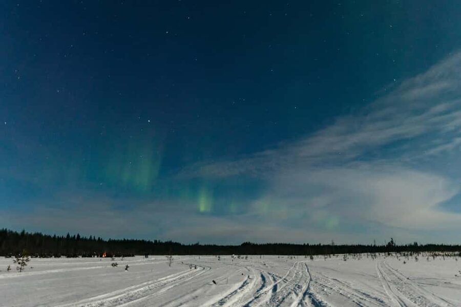 Rovaniemi: Northern Lights Family-Friendly Snowmobile Safari - Who Can Drive and What That Means for Your Group
