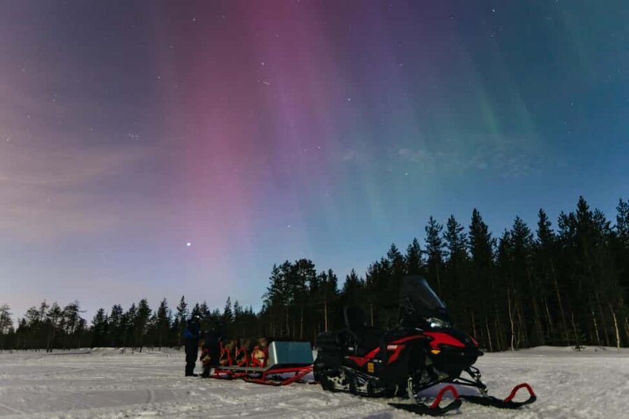 Rovaniemi: Northern Lights Family-Friendly Snowmobile Safari - The Evening Itinerary: Forest Starts, Driver Swaps, and Stops for Photos