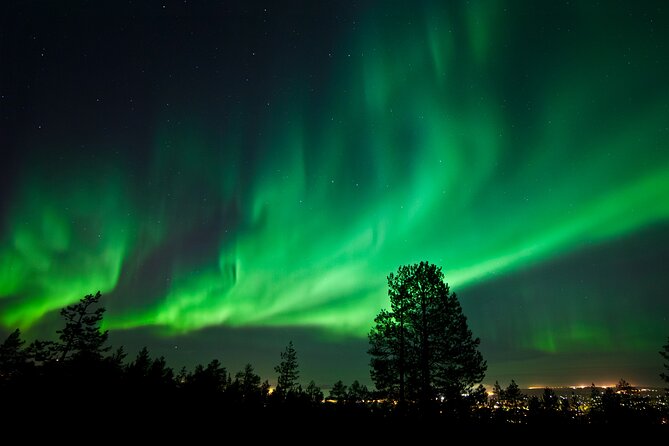 Rovaniemi: Northern Lights Group Tour - Guaranteed View - Price and Value: Is $129.52 Worth It?