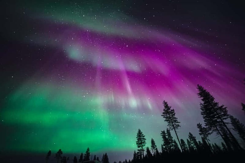 Rovaniemi: Northern Lights Group Tour with Guaranteed View - Real-Time Routing and the Sweden Detour: how they chase clear sky