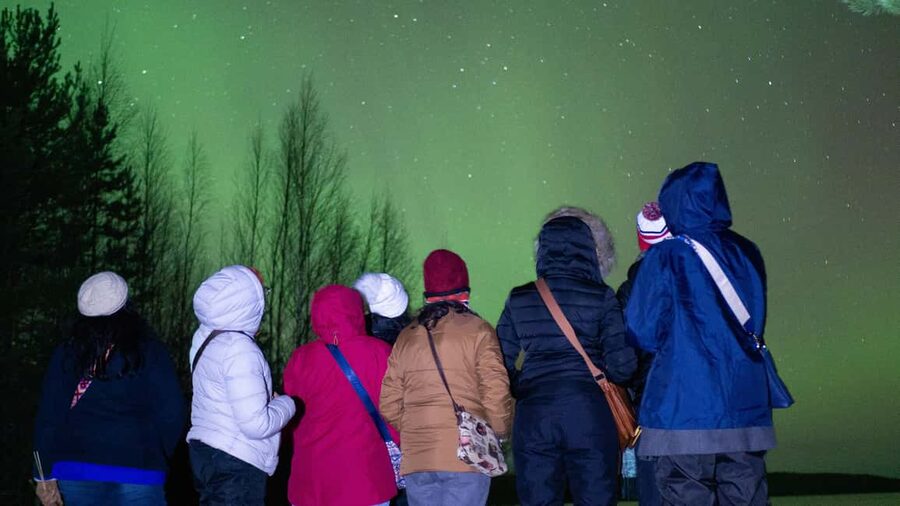Rovaniemi: Northern Lights Guided Tour with Pro Camera - Price and value: is $147 for a 4-hour aurora hunt fair?