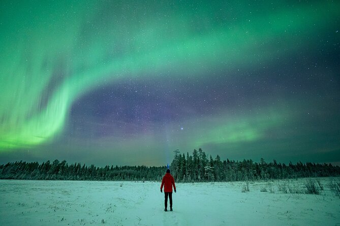 Rovaniemi Northern Lights Hunt With A Professional Photographer - Warmth, waiting, and winter reality checks