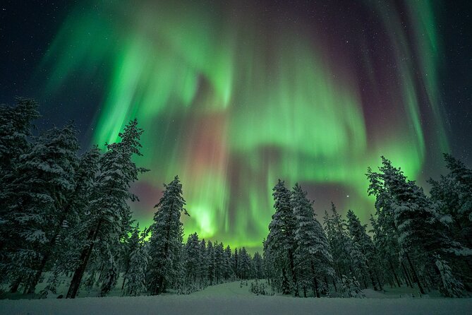 Rovaniemi Northern Lights Hunt With A Professional Photographer - Timing and duration: why your 5 PM pickup could turn into a long night