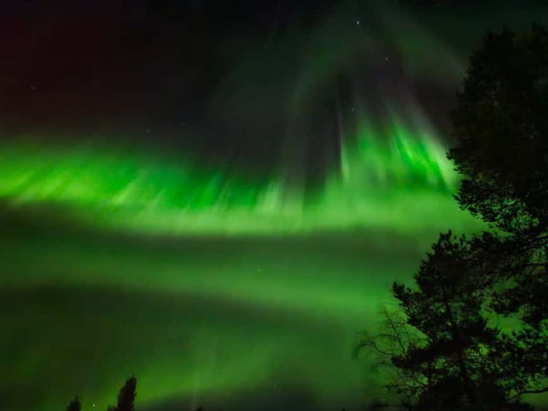 Rovaniemi: Northern Lights Hunters. Aurora + BBQ - Key Points to Know Before You Go