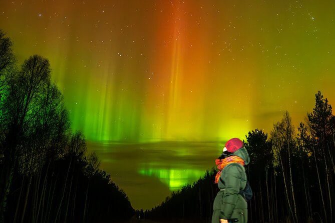 Rovaniemi: Northern Lights Hunting and Photography Tour - Quick Take: What Makes This Northern Lights Tour Worth Your Time