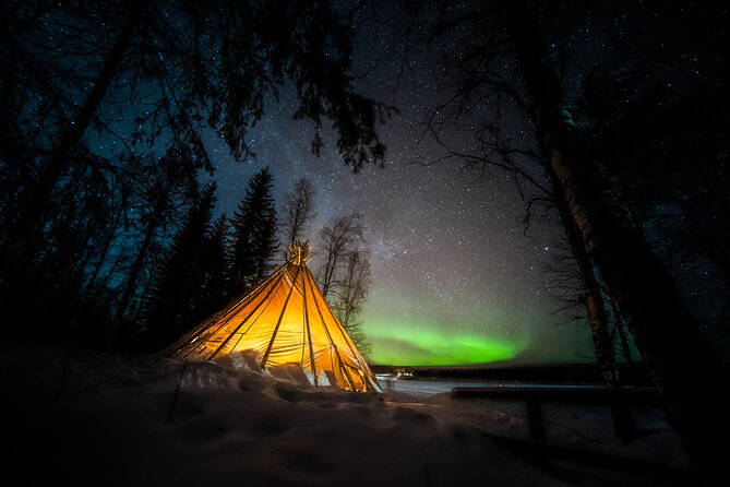 Rovaniemi Northern Lights Photography Small-Group Tour - What the Fire and Snacks Actually Add to the Night