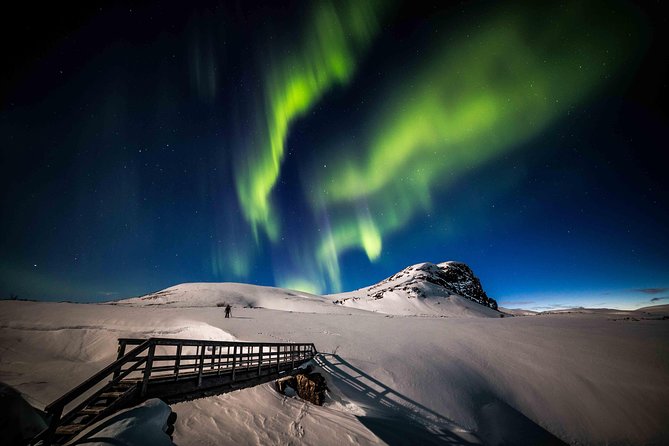Rovaniemi Northern Lights Photography Small-Group Tour - Price and Value: Is $175.43 Reasonable for This Setup?