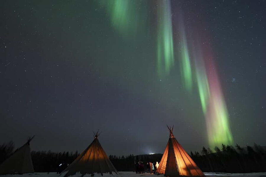 Rovaniemi: Northern Lights Photography Tour & BBQ - What the 3.5 hours feel like, step by step
