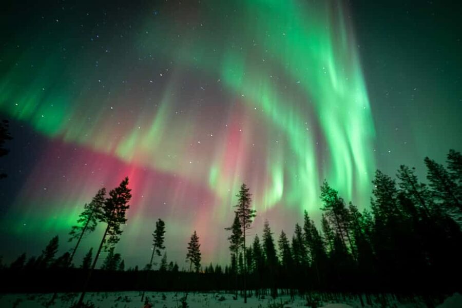 Rovaniemi: Northern Lights Photography Tour & BBQ - Price and value: why $104 can make sense (even when skies misbehave)