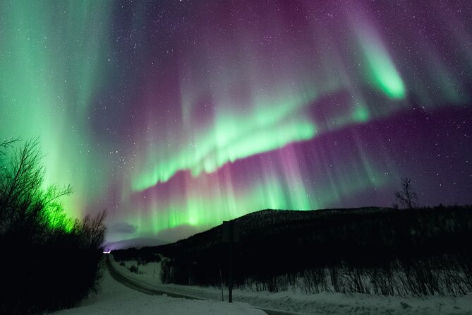 Rovaniemi: Northern Lights Pro Guaranteed - Unlimited (PRIVATE) - Northern Lights Pro Guaranteed: What the “Pro” approach really means