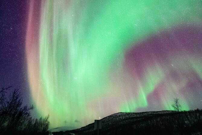 Rovaniemi: Northern Lights Pro Guaranteed - Unlimited (PRIVATE) - Timing in Rovaniemi: the 7:00 pm start and why duration can swing