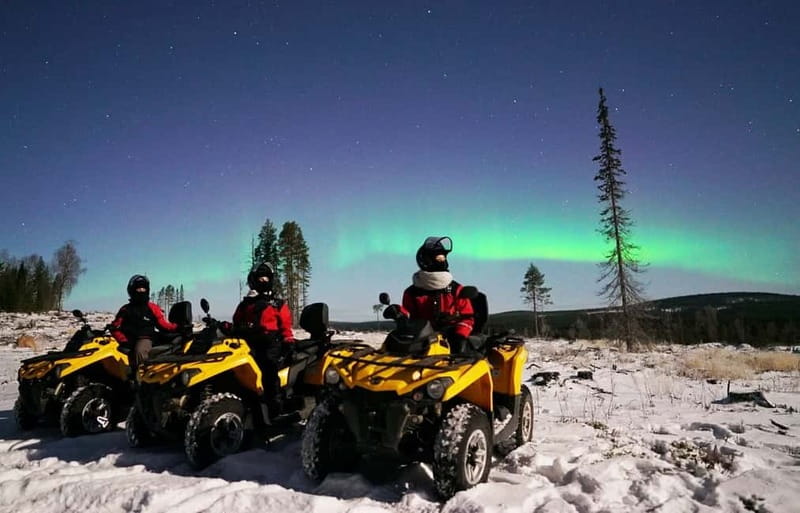 Rovaniemi: Northern Lights Quad Bike Tour - The Warm Break: Hot Blueberry Juice and Gingerbread Cookies