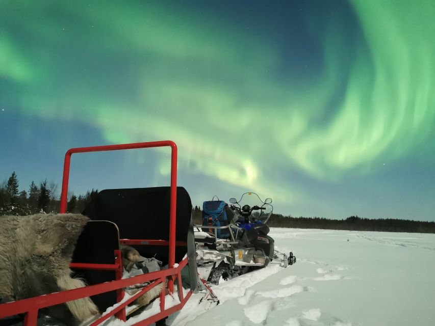 Rovaniemi: Northern Lights Sledge Ride - The 2-hour sledge ride through the Arctic forest