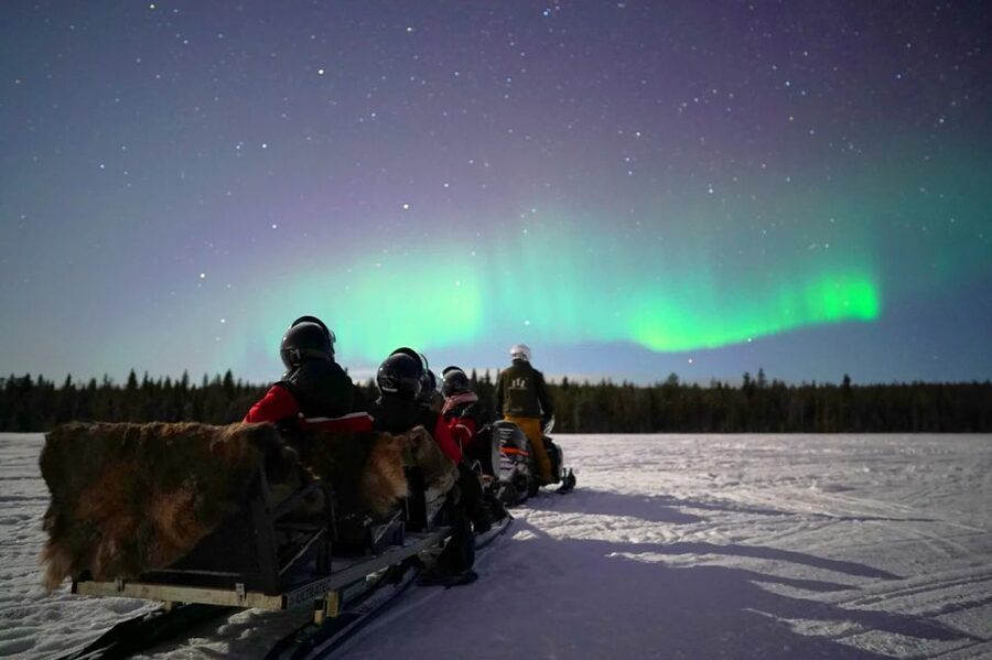 Rovaniemi: Northern Lights Sleigh Ride - Aurora hunting with stories: what your guide actually does