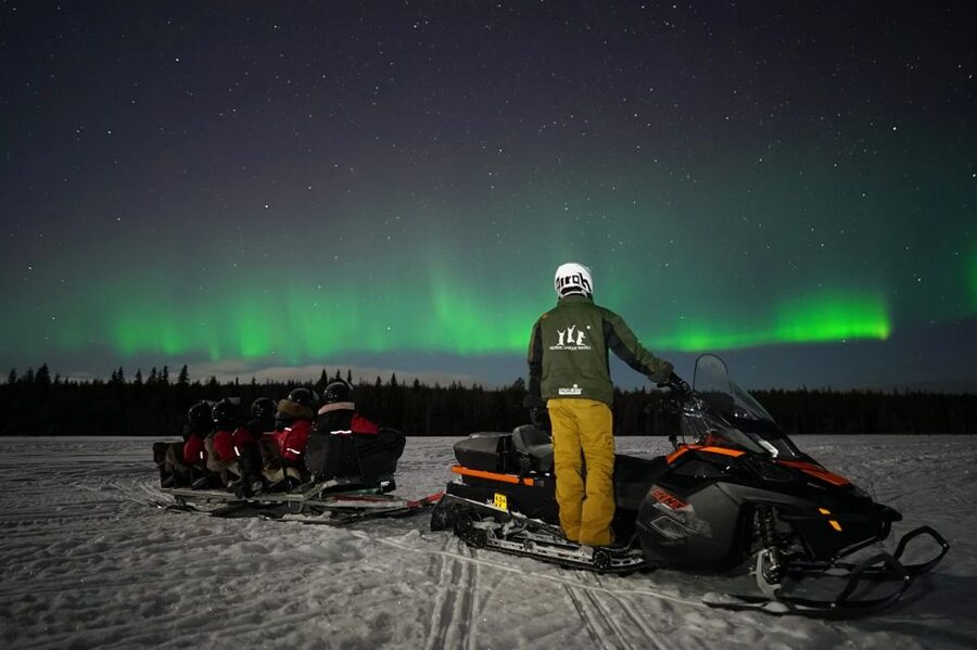 Rovaniemi: Northern Lights Sleigh Ride - Seating, group size, and who this tour suits best