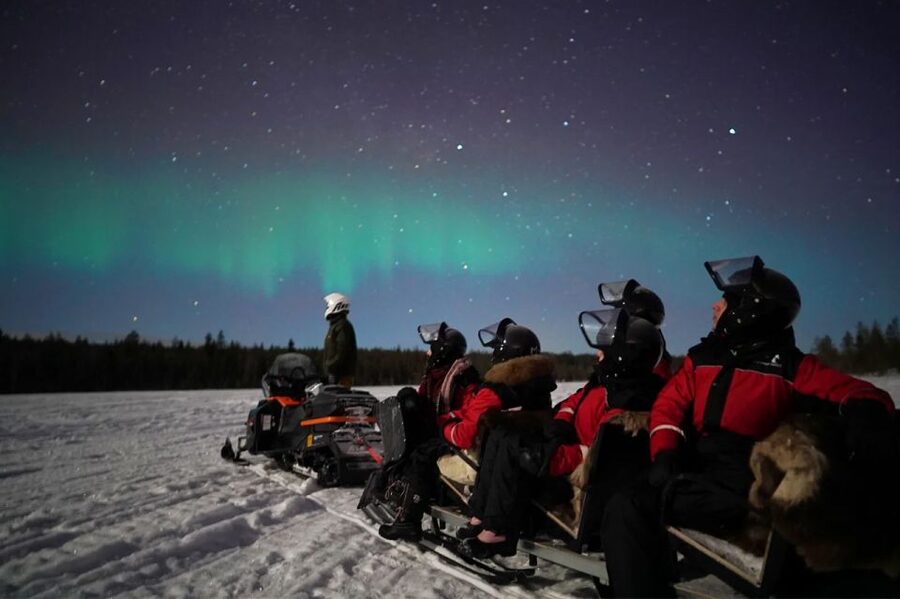 Rovaniemi: Northern Lights Sleigh Ride - Meeting point in Rovaniemi city center, no pickup