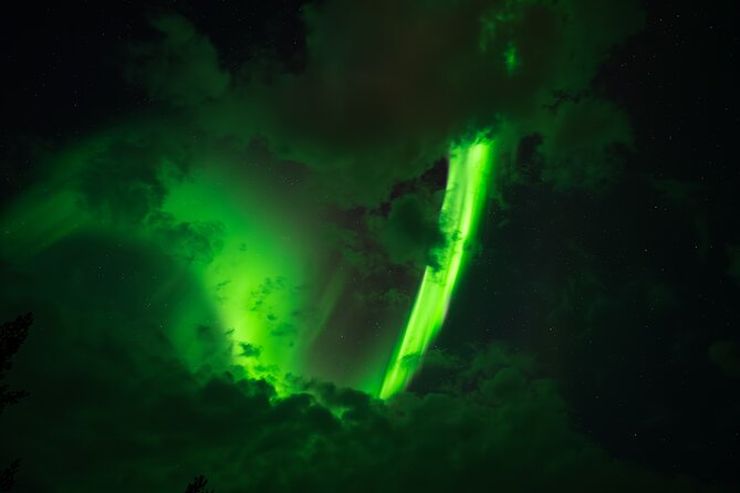 Rovaniemi: Northern Lights Small Group Money-Back Guarantee - Key highlights to know before you go