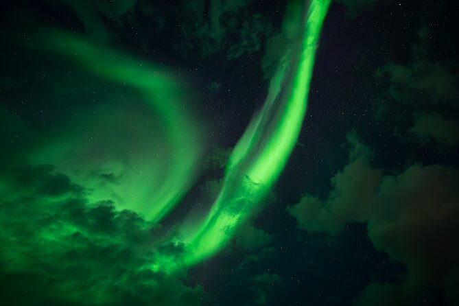 Rovaniemi: Northern Lights Small Group Money-Back Guarantee - Why the guides matter: photographers, patience, and learning the night sky