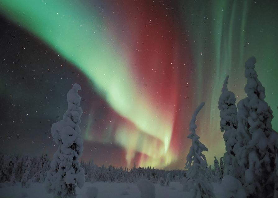 Rovaniemi: Northern Lights Snowmobile Safari with Campfire - Driver Rules, Shared Snowmobiles, and Safety Reality
