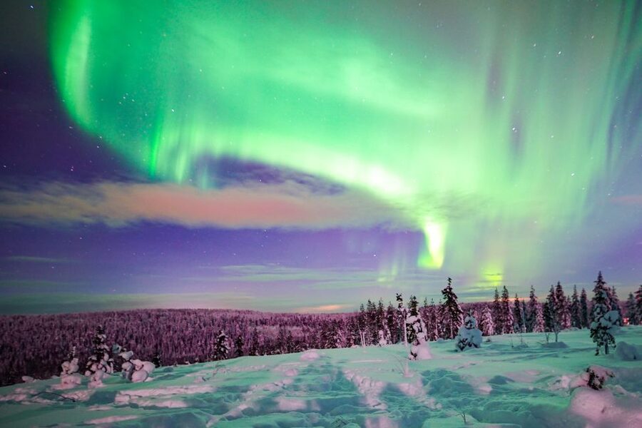 Rovaniemi: Northern Lights Snowmobile Tour - Key things that make this Northern Lights snowmobile tour work
