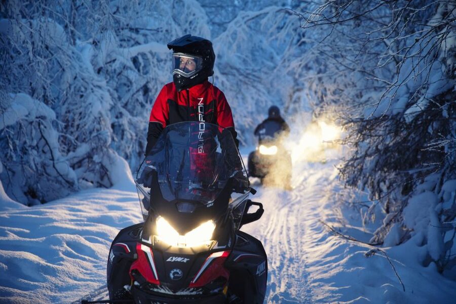 Rovaniemi: Northern Lights Snowmobile Tour - Campfire barbecue and warm drinks: the evening’s reset button