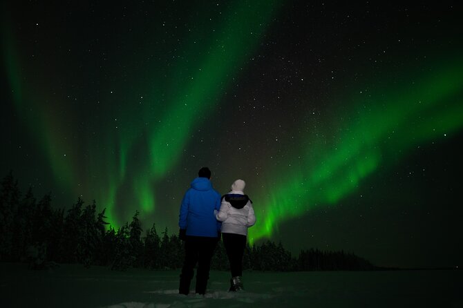 Rovaniemi: Northern Lights Tour - Key takeaways before you go