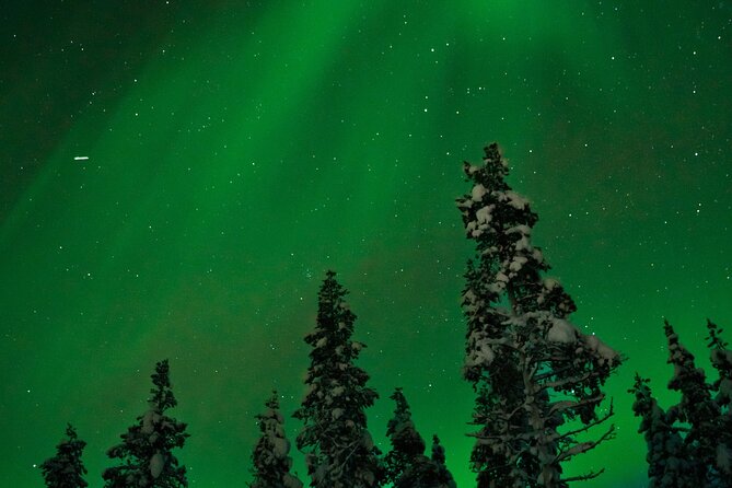 Rovaniemi: Northern Lights Tour - Finding the lights starts with leaving Rovaniemi behind