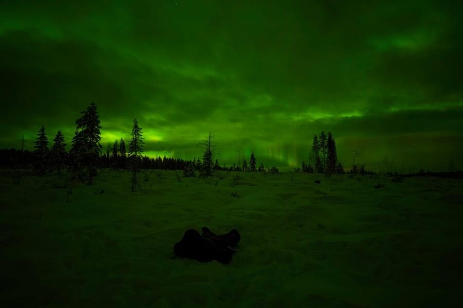 Rovaniemi: Northern Lights Tour at the Campfire - Key highlights you’ll feel right away