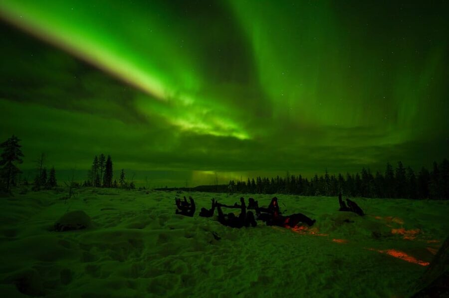 Rovaniemi: Northern Lights Tour at the Campfire - How the 3-hour evening works in real life