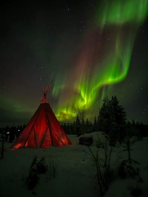 Rovaniemi: Northern Lights Tour at the Campfire - Price and value: is $140 worth it for a guided aurora night?