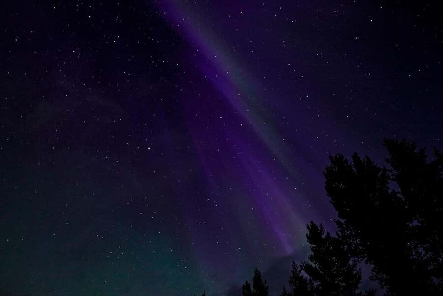 Rovaniemi: Northern Lights Tour - Aurora Viewing Guaranteed - A Northern Lights plan that refuses to sit still