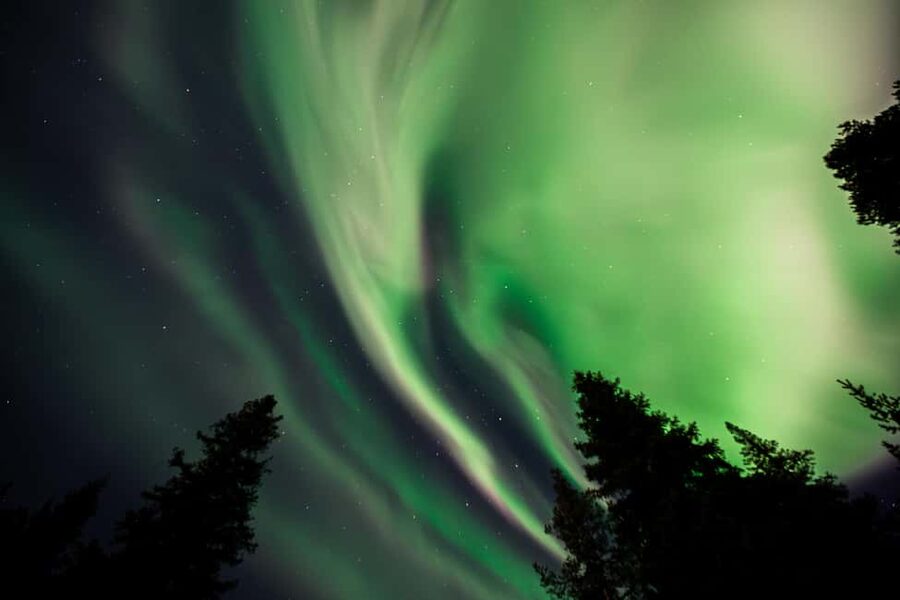 Rovaniemi: Northern Lights Tour – Guaranteed with Photos - Key Reasons This Tour Feels Worth It