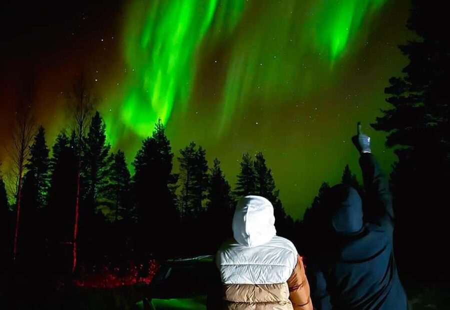 Rovaniemi: Northern Lights Tour with BBQ - Rovaniemi hotel pickup and the night schedule that matters