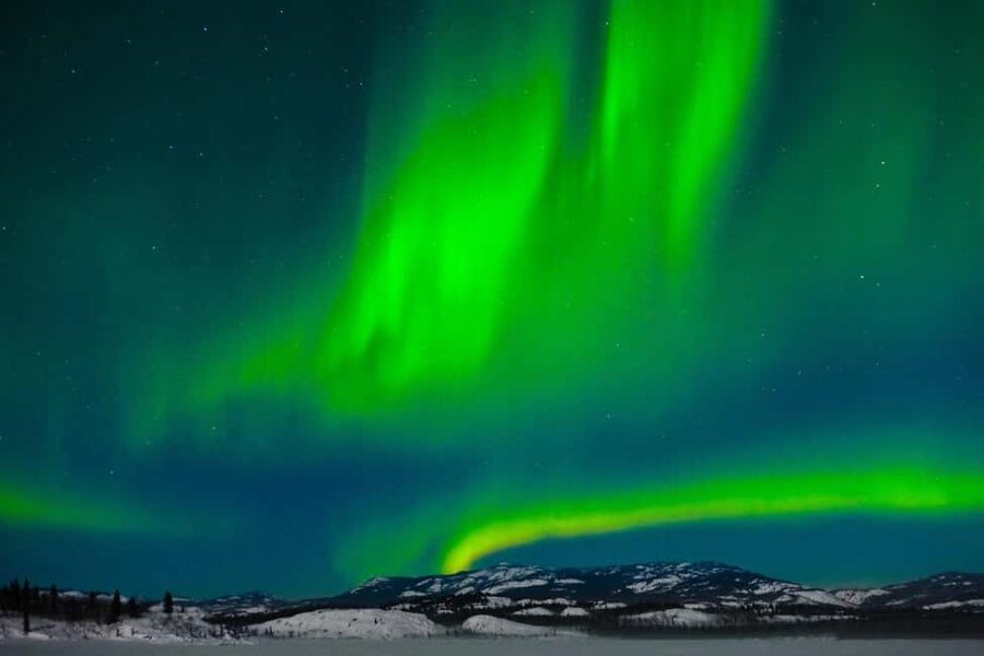 Rovaniemi: Northern Lights Tour with BBQ - Should you book SV Travel Rovaniemi’s Aurora Hunt with BBQ?