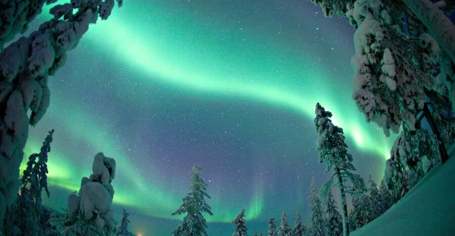 Rovaniemi: Northern Lights Tour with Electric Snowmobiles - The hilltop stop for stars and auroras