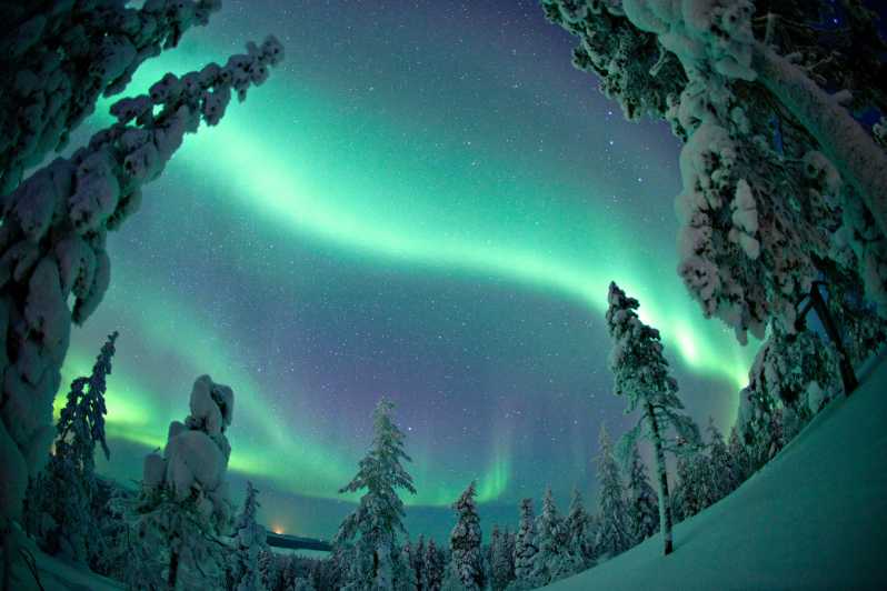 Rovaniemi: Northern Lights Tour with Electric Snowmobiles - Meeting at Safartica: the timing rule that can ruin your night
