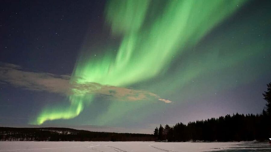 Rovaniemi: Photography Northern Lights Tour with BBQ & Glögi - Key moments that matter (and why)