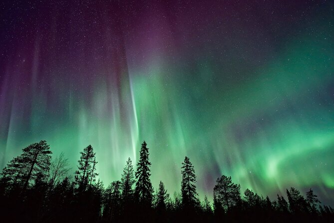 Rovaniemi: Private Aurora Tour with Guaranteed Sightings - Stop 1: Rovaniemi Aurora Hunting With a Real Search Mindset