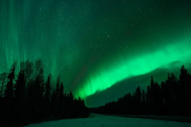 Rovaniemi: Private Aurora Tour with Guaranteed Sightings - The Value Math: Is $349.51 Fair for a Private Guaranteed Aurora Tour?