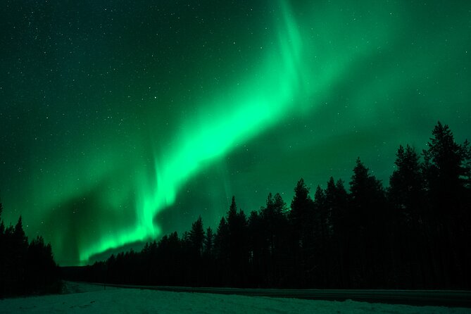 Rovaniemi: Private Aurora Tour with Guaranteed Sightings - What the Private Bus and Unlimited Mileage Really Mean