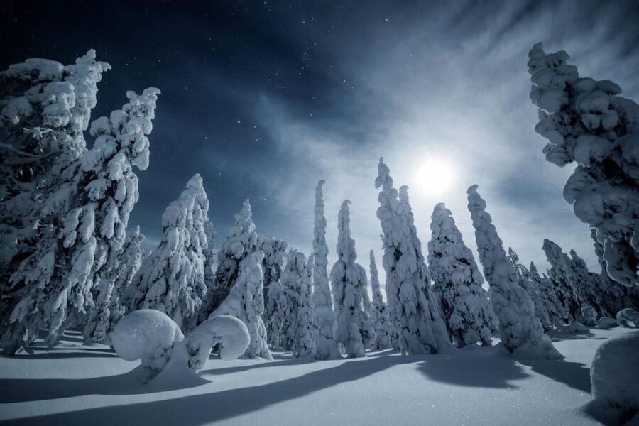 Rovaniemi: Reindeer Safari and Northern Lights Tour - Why this Rovaniemi reindeer safari feels different