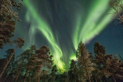 Rovaniemi: Reindeer Safari and Northern Lights Tour - Sleigh ride through silent Lapland: what to expect on the reindeer team