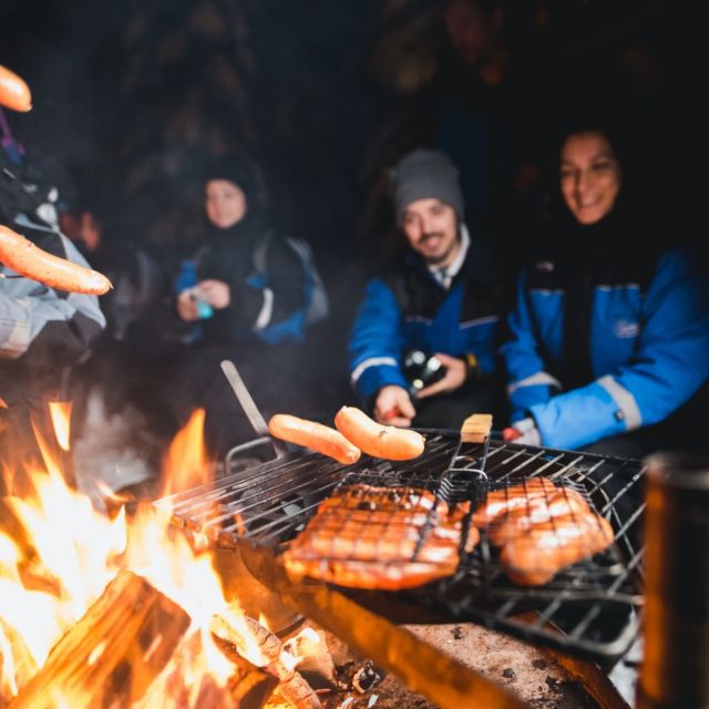 Rovaniemi: Search for Northern Lights Snowmobiling Trip - Why this Rovaniemi northern-lights snowmobile ride feels different