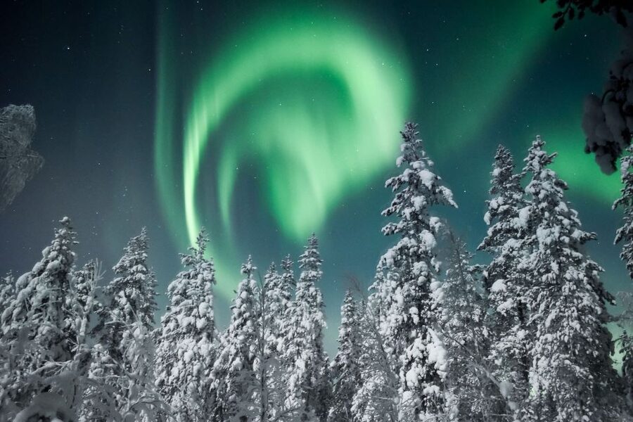 Rovaniemi: Search for Northern Lights Snowmobiling Trip - What the best guides do with your night